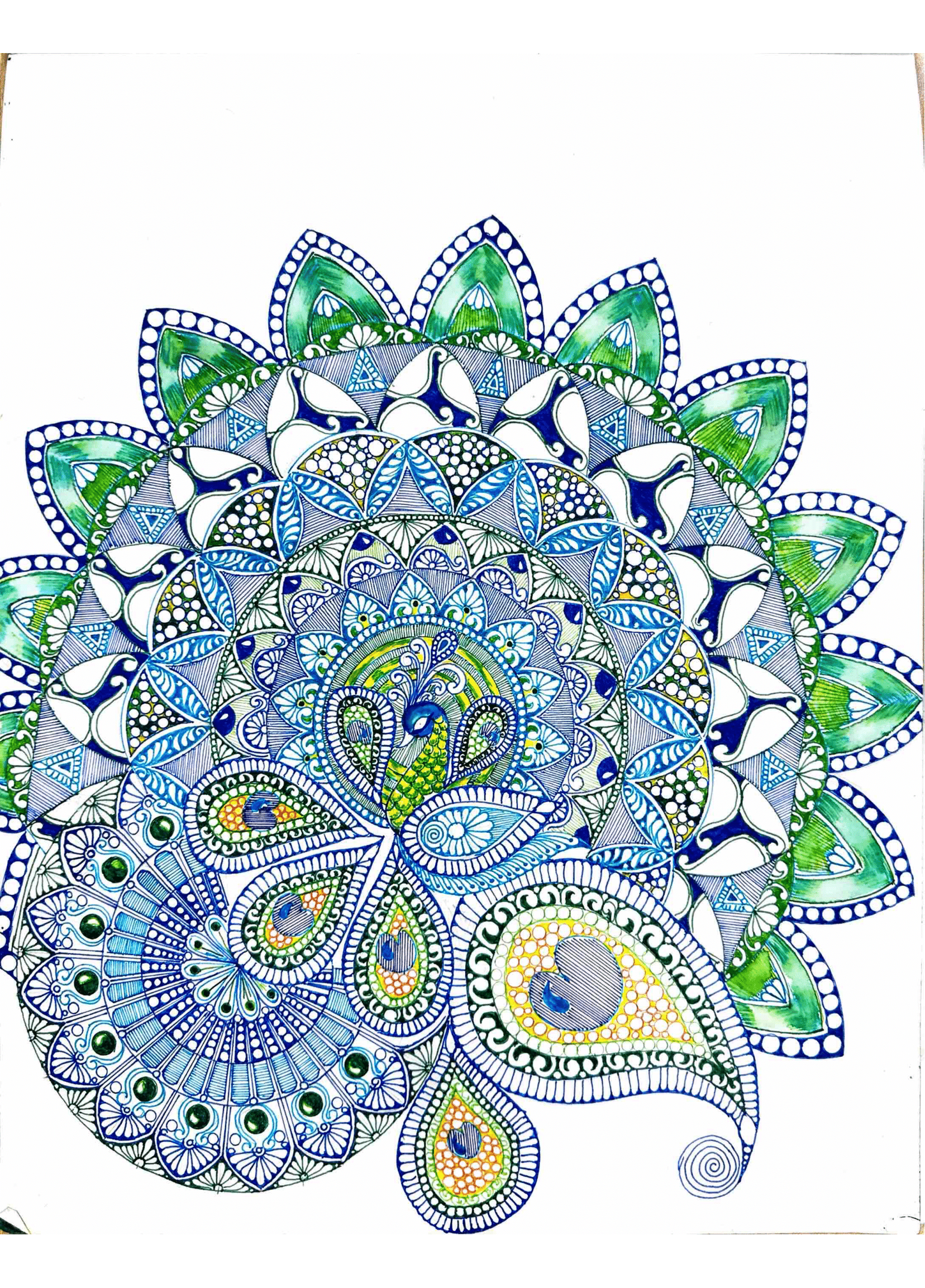Peacock Grace Mandala