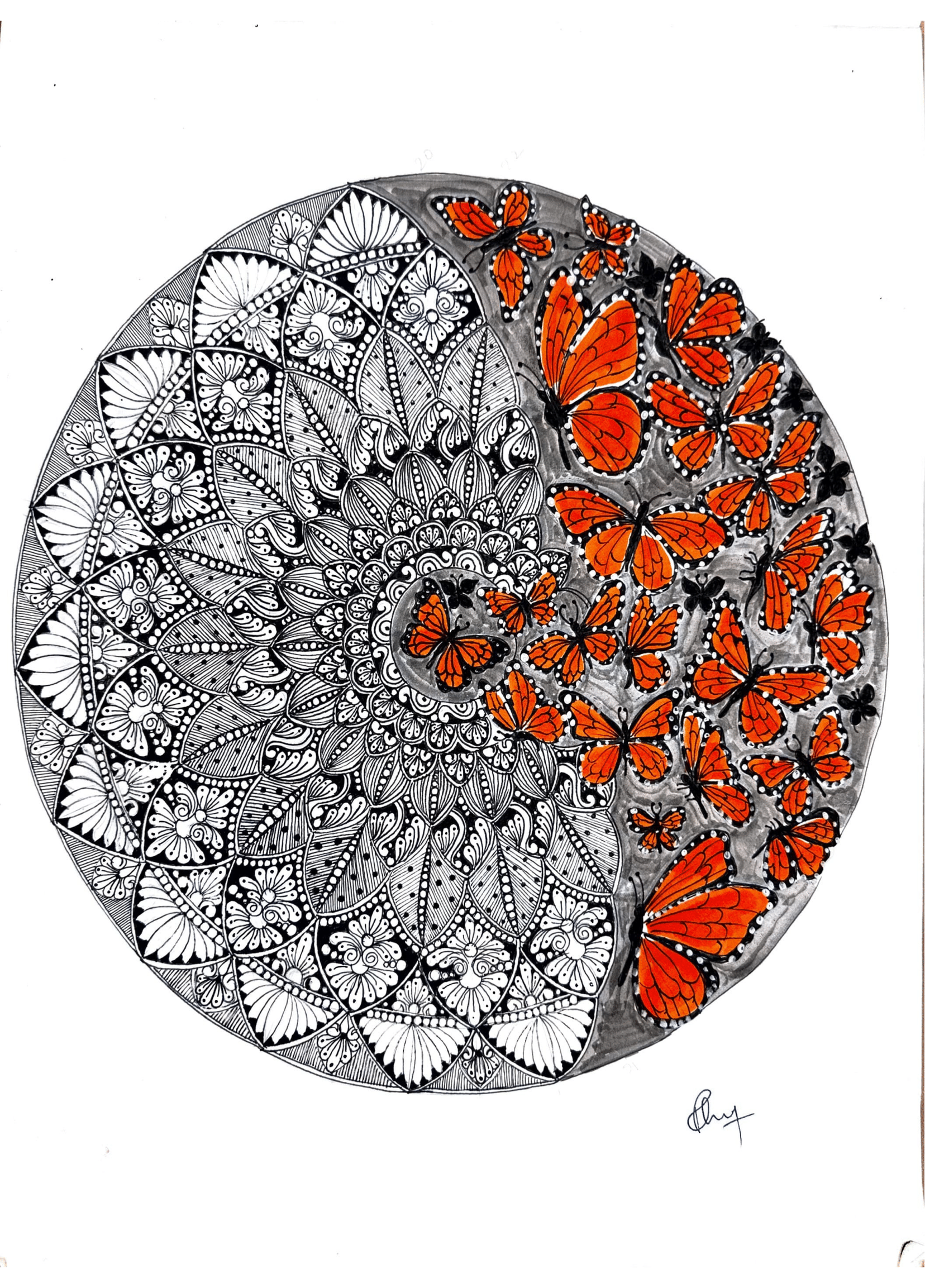 Fluttering Monarch Across Cosmos